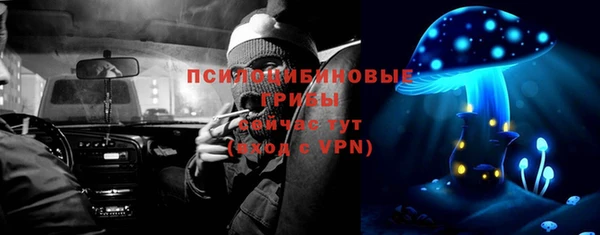 ешки Алексин