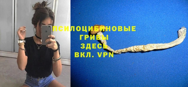 мдпв Абдулино